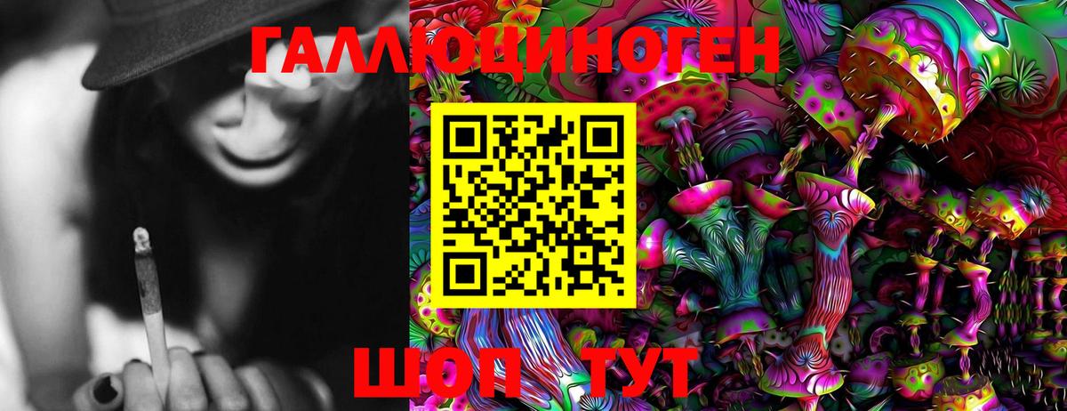 Псилоцибиновые грибы Psilocybe Строитель
