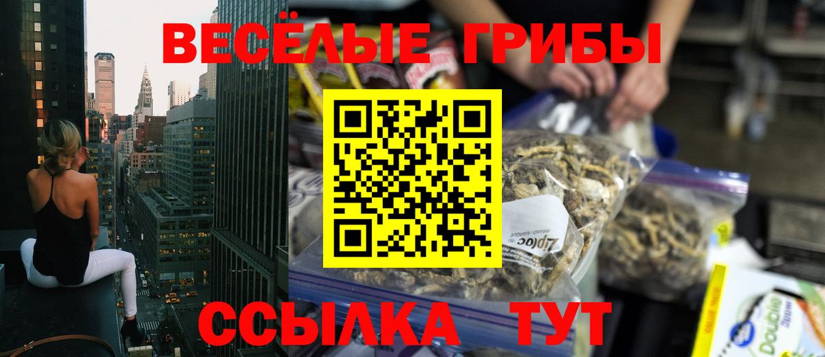 Строитель  даркнет сайт  Вход с VPN  Галлюциногенные грибы MAGIC MUSHROOMS 